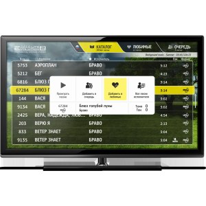 Караоке система Evobox Plus с кейсом и двумя радиомикрофонами