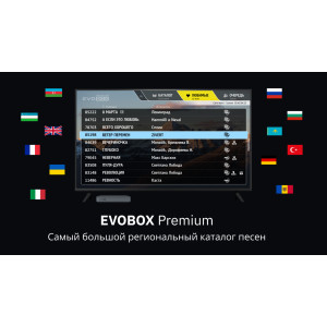 Караоке система Evobox Premium Караоке система Evobox Premium